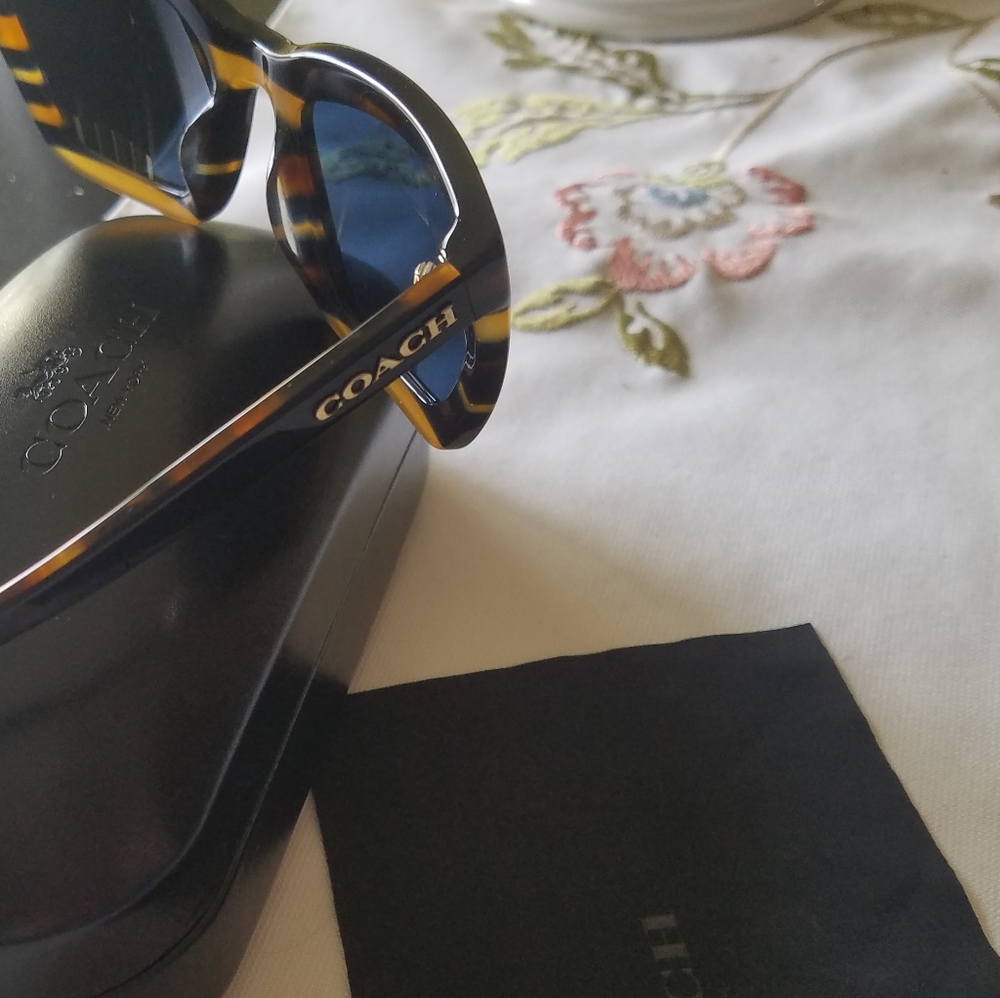 Coach Blue Honey Varsity Stripe Sunglasses - Picture 6 of 8